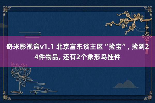 奇米影视盒v1.1 北京富东谈主区“捡宝”， 捡到24件物品， 还有2个象形鸟挂件