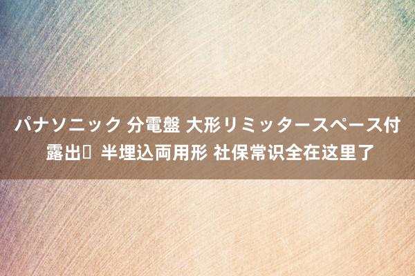 パナソニック 分電盤 大形リミッタースペース付 露出・半埋込両用形 社保常识全在这里了