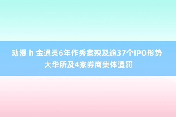 动漫 h 金通灵6年作秀案殃及逾37个IPO形势 大华所及4家券商集体遭罚