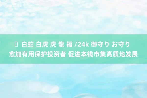 ✨白蛇 白虎 虎 龍 福 /24k 御守り お守り 愈加有用保护投资者 促进本钱市集高质地发展