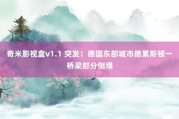 奇米影视盒v1.1 突发！德国东部城市德累斯顿一桥梁部分倒塌