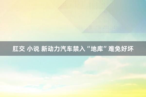 肛交 小说 新动力汽车禁入“地库”难免好坏