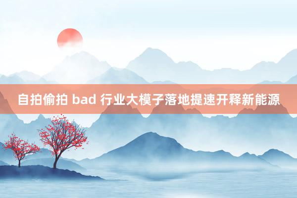 自拍偷拍 bad 行业大模子落地提速开释新能源