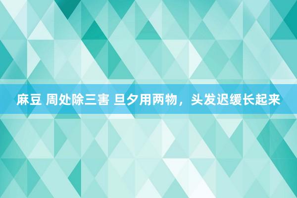 麻豆 周处除三害 旦夕用两物，头发迟缓长起来