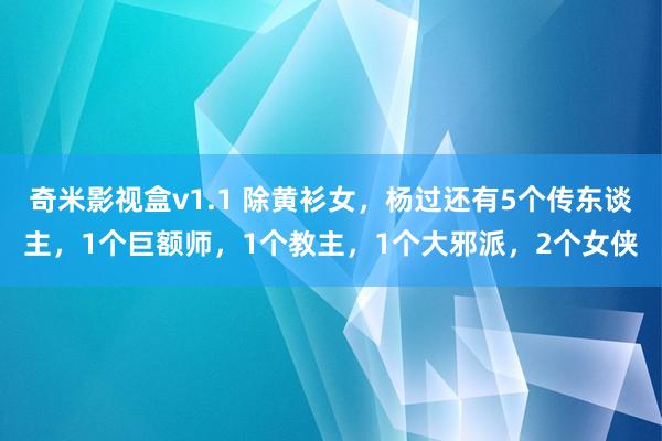 奇米影视盒v1.1 除黄衫女，杨过还有5个传东谈主，1个巨额师，1个教主，1个大邪派，2个女侠