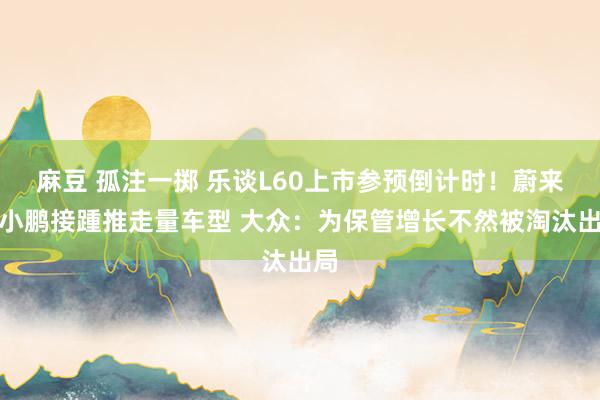 麻豆 孤注一掷 乐谈L60上市参预倒计时！蔚来、小鹏接踵推走量车型 大众：为保管增长不然被淘汰出局