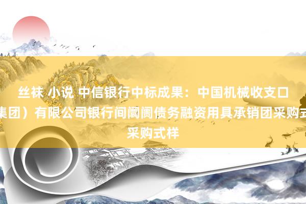 丝袜 小说 中信银行中标成果：中国机械收支口（集团）有限公司银行间阛阓债务融资用具承销团采购式样