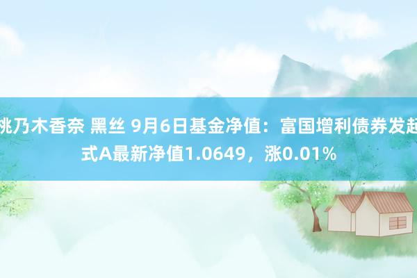 桃乃木香奈 黑丝 9月6日基金净值：富国增利债券发起式A最新净值1.0649，涨0.01%