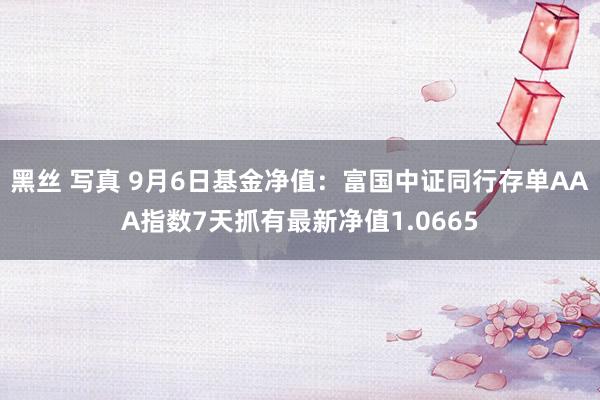 黑丝 写真 9月6日基金净值：富国中证同行存单AAA指数7天抓有最新净值1.0665