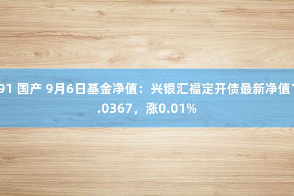 91 国产 9月6日基金净值：兴银汇福定开债最新净值1.0367，涨0.01%