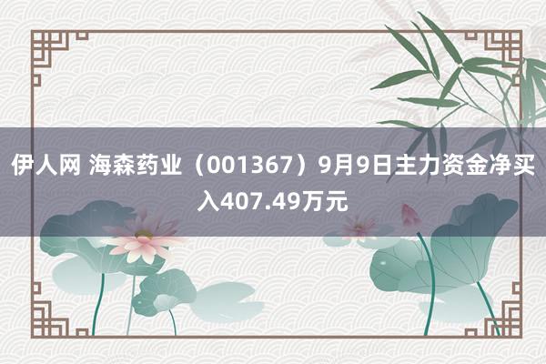 伊人网 海森药业（001367）9月9日主力资金净买入407.49万元