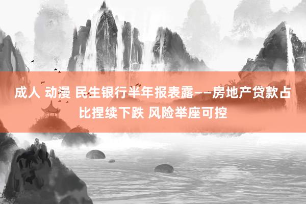 成人 动漫 民生银行半年报表露——房地产贷款占比捏续下跌 风险举座可控