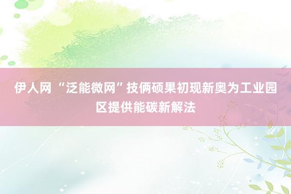 伊人网 “泛能微网”技俩硕果初现新奥为工业园区提供能碳新解法