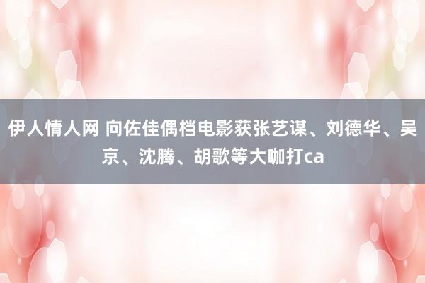 伊人情人网 向佐佳偶档电影获张艺谋、刘德华、吴京、沈腾、胡歌等大咖打ca