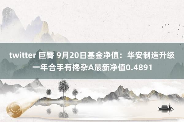 twitter 巨臀 9月20日基金净值：华安制造升级一年合手有搀杂A最新净值0.4891