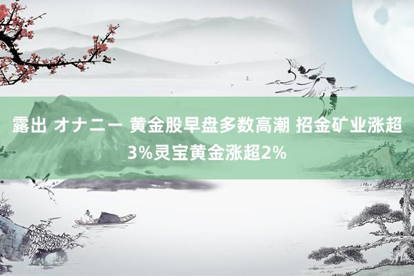 露出 オナニー 黄金股早盘多数高潮 招金矿业涨超3%灵宝黄金涨超2%