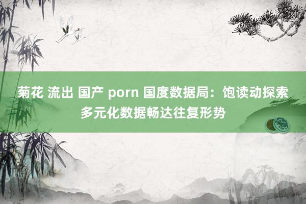 菊花 流出 国产 porn 国度数据局：饱读动探索多元化数据畅达往复形势