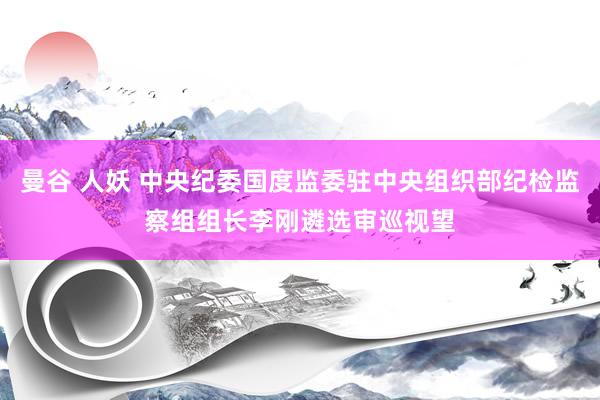 曼谷 人妖 中央纪委国度监委驻中央组织部纪检监察组组长李刚遴选审巡视望