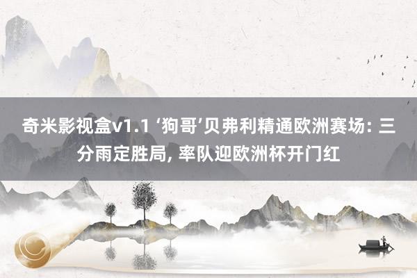 奇米影视盒v1.1 ‘狗哥’贝弗利精通欧洲赛场: 三分雨定胜局， 率队迎欧洲杯开门红