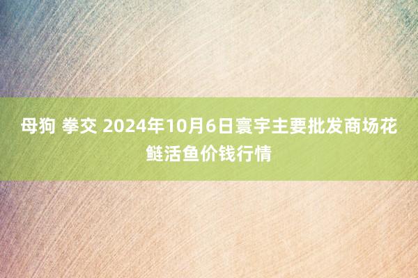 母狗 拳交 2024年10月6日寰宇主要批发商场花鲢活鱼价钱行情