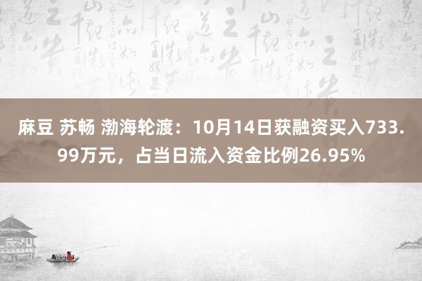 麻豆 苏畅 渤海轮渡：10月14日获融资买入733.99万元，占当日流入资金比例26.95%