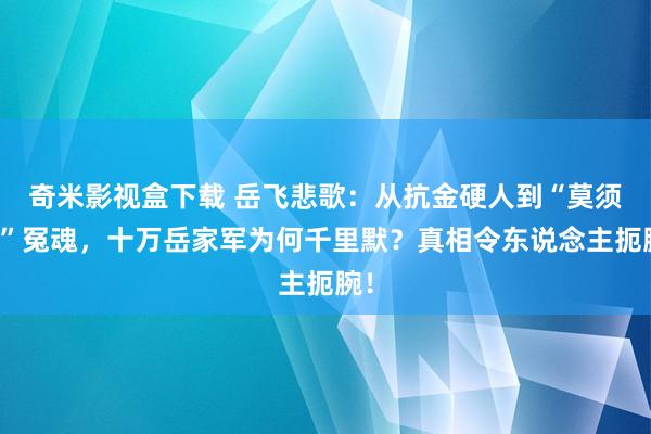 奇米影视盒下载 岳飞悲歌：从抗金硬人到“莫须有”冤魂，十万岳家军为何千里默？真相令东说念主扼腕！