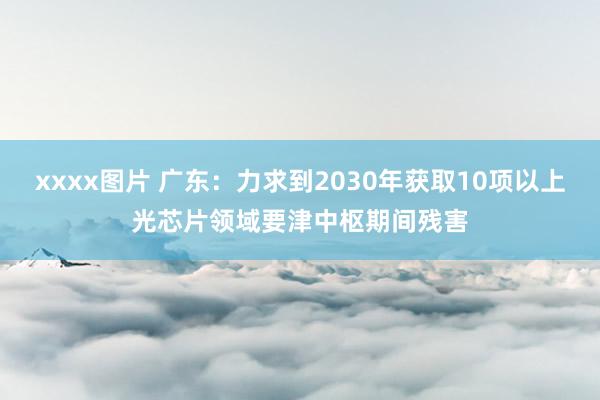 xxxx图片 广东：力求到2030年获取10项以上光芯片领域要津中枢期间残害