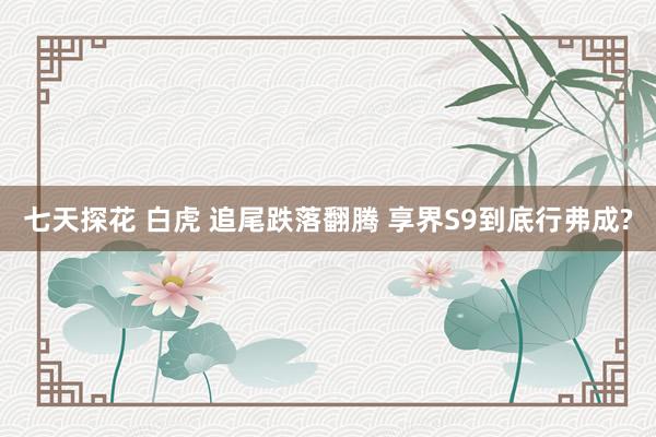 七天探花 白虎 追尾跌落翻腾 享界S9到底行弗成?