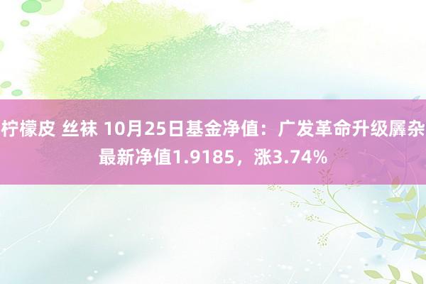 柠檬皮 丝袜 10月25日基金净值：广发革命升级羼杂最新净值1.9185，涨3.74%