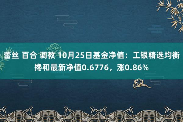 蕾丝 百合 调教 10月25日基金净值：工银精选均衡搀和最新净值0.6776，涨0.86%