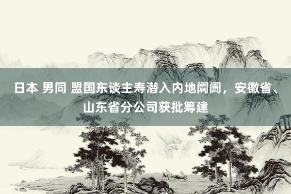 日本 男同 盟国东谈主寿潜入内地阛阓，安徽省、山东省分公司获批筹建