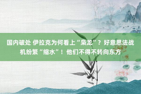 国内破处 伊拉克为何看上“枭龙”？好意思法战机纷繁“缩水”！他们不得不转向东方