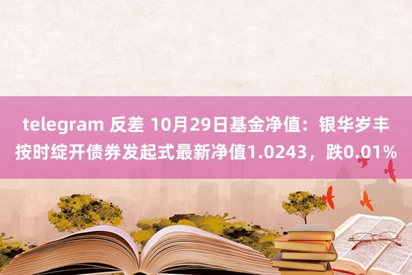 telegram 反差 10月29日基金净值：银华岁丰按时绽开债券发起式最新净值1.0243，跌0.01%