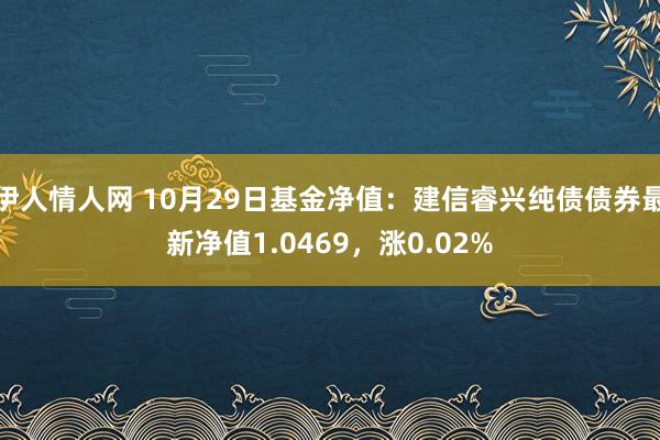 伊人情人网 10月29日基金净值：建信睿兴纯债债券最新净值1.0469，涨0.02%