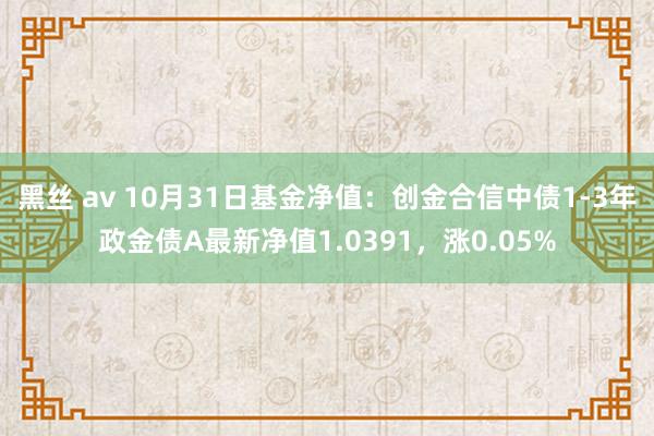 黑丝 av 10月31日基金净值：创金合信中债1-3年政金债A最新净值1.0391，涨0.05%