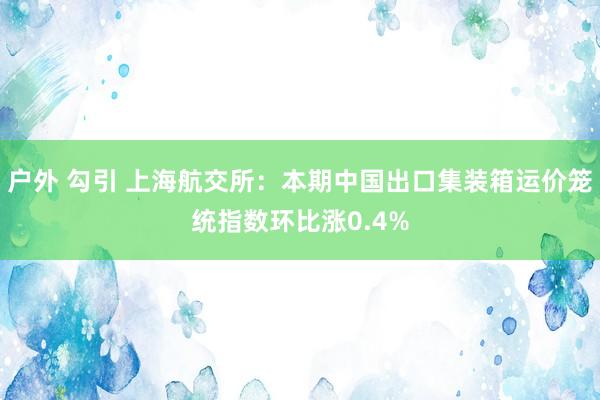 户外 勾引 上海航交所：本期中国出口集装箱运价笼统指数环比涨0.4%