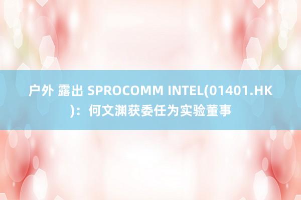 户外 露出 SPROCOMM INTEL(01401.HK)：何文渊获委任为实验董事