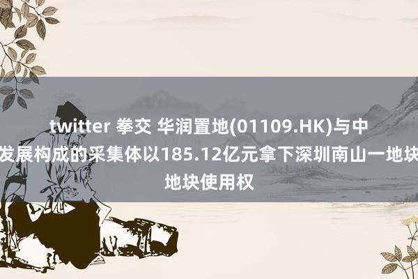 twitter 拳交 华润置地(01109.HK)与中海企业发展构成的采集体以185.12亿元拿下深圳南山一地块使用权