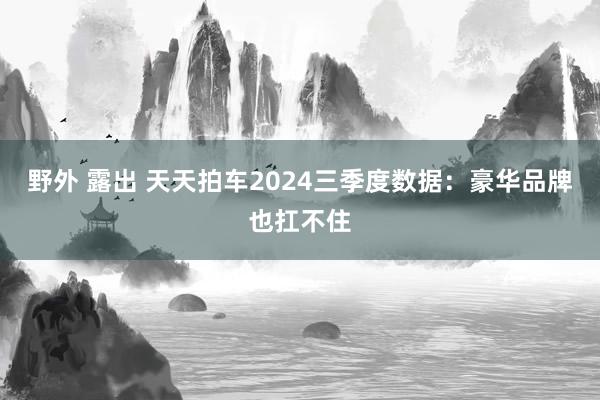 野外 露出 天天拍车2024三季度数据：豪华品牌也扛不住