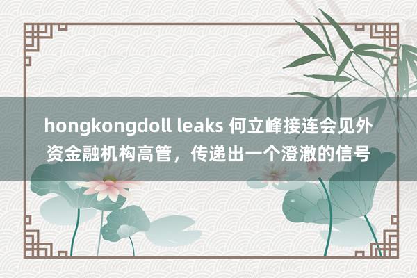 hongkongdoll leaks 何立峰接连会见外资金融机构高管，传递出一个澄澈的信号