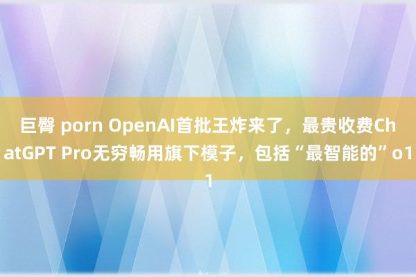 巨臀 porn OpenAI首批王炸来了，最贵收费ChatGPT Pro无穷畅用旗下模子，包括“最智能的”o1