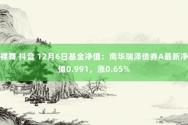 裸舞 抖音 12月6日基金净值：南华瑞泽债券A最新净值0.991，涨0.65%