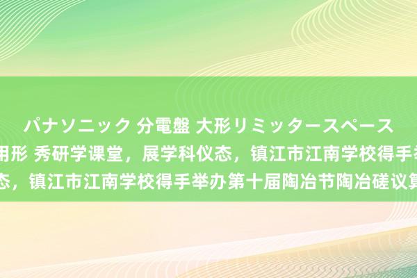 パナソニック 分電盤 大形リミッタースペースなし 露出・半埋込両用形 秀研学课堂，展学科仪态，镇江市江南学校得手举办第十届陶冶节陶冶磋议算作