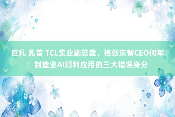 巨乳 乳首 TCL实业副总裁、格创东智CEO何军：制造业AI顺利应用的三大错误身分