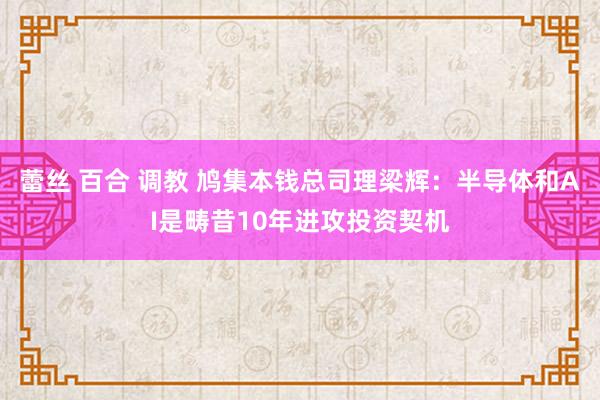 蕾丝 百合 调教 鸠集本钱总司理梁辉：半导体和AI是畴昔10年进攻投资契机