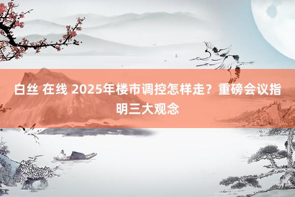 白丝 在线 2025年楼市调控怎样走？重磅会议指明三大观念