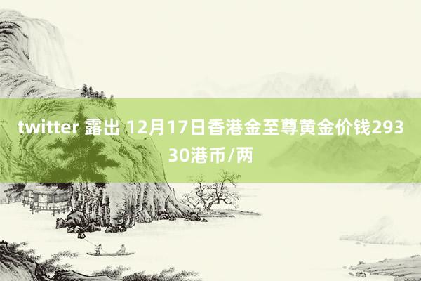 twitter 露出 12月17日香港金至尊黄金价钱29330港币/两