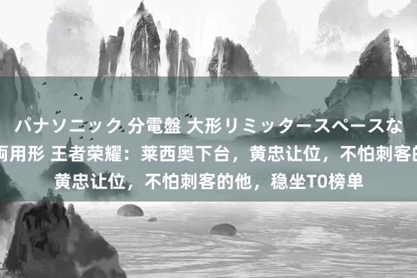 パナソニック 分電盤 大形リミッタースペースなし 露出・半埋込両用形 王者荣耀：莱西奥下台，黄忠让位，不怕刺客的他，稳坐T0榜单