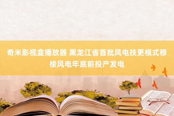 奇米影视盒播放器 黑龙江省首批风电技更模式穆棱风电年底前投产发电