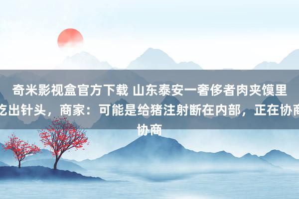 奇米影视盒官方下载 山东泰安一奢侈者肉夹馍里吃出针头，商家：可能是给猪注射断在内部，正在协商